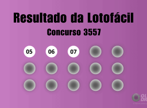 resultado-da-lotofacil-de-hoje:-veja-numeros-e-ganhadores-do-concurso-3557-(segunda,-08/12)