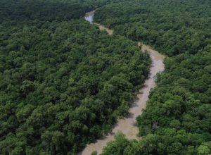 consorcio-da-amazonia-legal-debate-politicas-publicas