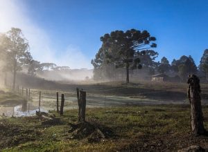 onda-de-frio-continua-forte-no-sul;-veja-a-previsao-completa-do-tempo-para-esta-terca
